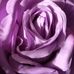 Cassandra Kramer - Facebook