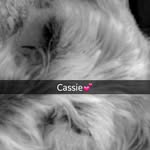 cassandra lee sue sutherland - @cassandra_lee_sue_sutherland - Instagram