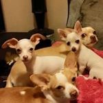 Cassandra Goodwin-Main - @goodwin.cassandra - Instagram