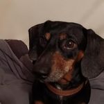 Cassandra Lynn McLaughlin - @mom2elijah05 - Instagram