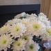 Cassandra Merlock - Facebook