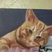 Cassandra Nobles - Facebook