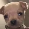 eve •_• - @cassandra._.nuno - TikTok