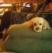 Cassandra Oakes - Facebook