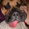 cassandra_odom - @cassandra_odom - TikTok
