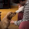 Cassandra Orlowski - @charliethegolden20 - TikTok
