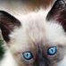 Cassandre Packard - Facebook