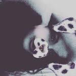 cassandra palmieri - @la_princesse530 - Instagram