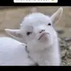 Cassandra Parke - @cassandra.parke1 - TikTok