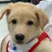 Casandra Paulin - Facebook