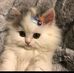 Cassandra Rae Alejo - Facebook