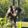 Cassandra Reilly - @cassandra.reilly - TikTok