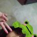 Cassandra Rosa - Facebook