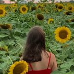 Kacey Rosalee - @cassandrarosalee - Instagram