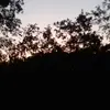 cassandra.sam - @cassandra.sam - TikTok