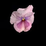 Cassandra Samples - @samples_cassandra - Instagram