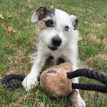 Cassandra Schreiber - @russellrefuge_ - Instagram