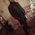Cassandra Silver - Facebook