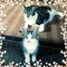 Cassie Sprague - Facebook