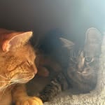 Cassandra Tuttle - @cassiegunter2005 - Instagram