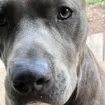 Cassandra Vance - @houndstoothbakeryandboutique - Instagram
