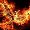 Cassandra Weldon - @mockingjay1716 - TikTok