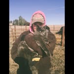 Cassidy - @cassidy_becker95 - Instagram