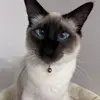 Bryce Cassidy - @bryce_cassidy - TikTok