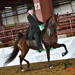 Cassidy Buchanan - @rockin_b_farm34 - Instagram