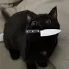 cass - @cassidyburns - TikTok