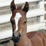 @cassidyburns - Instagram