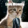 cassidybushnel - @cassidybushnel2 - TikTok