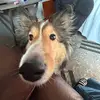CassidySPAM - @cassidy.cain55 - TikTok