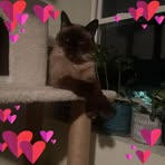 Cassidy Calvert - Facebook