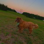 Cassidy Carlson - @cassidy_photos1 - Instagram