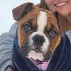 cassidycarlson135 - @cassidycarlson135 - TikTok