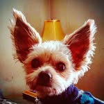 Cassidy Carr - @monkey12334 - Instagram