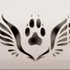 user6112231228735 - @cassidy...carroll - TikTok