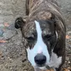 carson cassidy - @carson.cassidy - TikTok