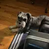 user2943467089929 - @chase.cassidy - TikTok