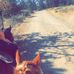 Cassidy Cline - Facebook