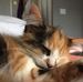Cassie Clipp - Facebook