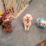 Clydechloecassidy - @clydechloecassidy - Instagram