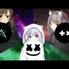 CassidyConner - @stoltexolty - TikTok