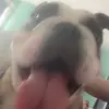 Cassidy_costello13 - @cassidy_costello13 - TikTok