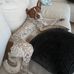Cassidy Greer - Facebook