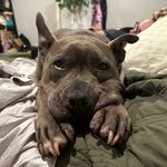 @cassidycryerhair - Instagram