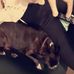 Cassidy Daniel - Facebook