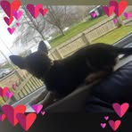 Cassie Dodds - Facebook