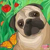 Cassidy_hope_fowler1 - @cassudy0 - TikTok